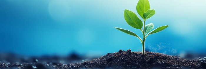 GROW with SAP S/4HANA