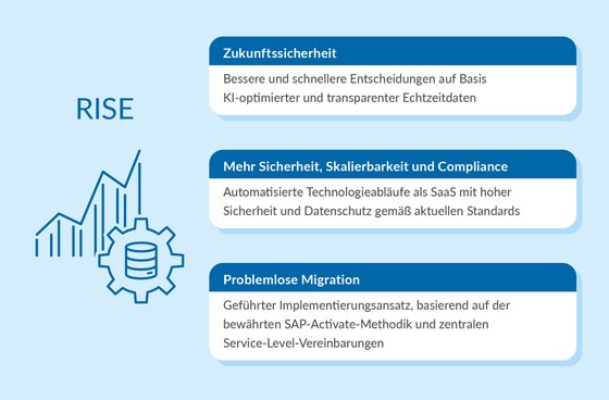 RISE with SAP - Vorteile Grafik