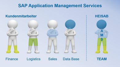 SAP AMS Ressourcen Grafik