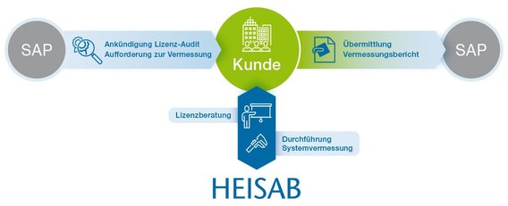Grafik Lizenzaudit SAP Prozess
