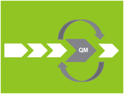 Erweiterung und Optimierung QM-System Grafik: Erweiterung und Optimierung bestehender QM-Prozesse