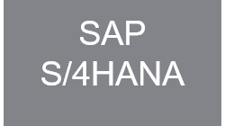 Grafik SAP S4HANA