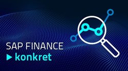 Grafik SAP Finance konkret